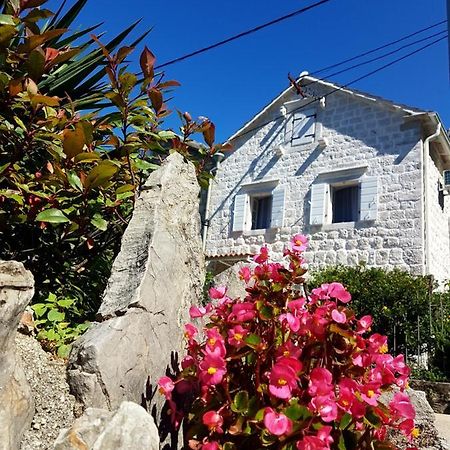Old Stone Villa Lalosevic Kotor Eksteriør billede