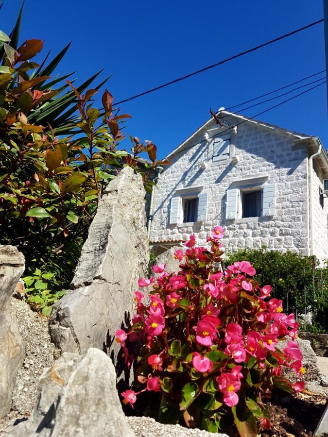 Old Stone Villa Lalosevic Kotor Eksteriør billede